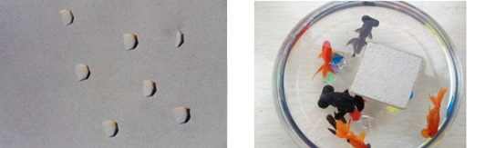 201403101021188321 (1).jpg